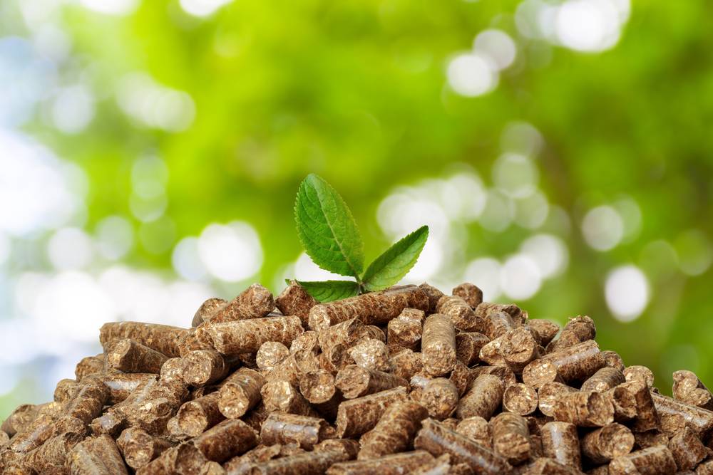 Biofuels: The Green Gateway to a Sustainable Tomorrow - Protec Fuel